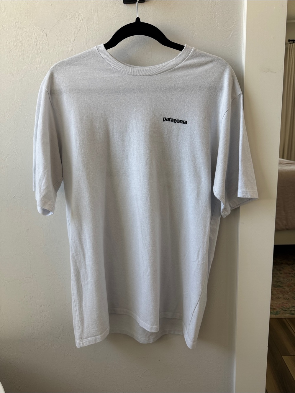 Patagonia Short-Sleeve Crew Tee in White